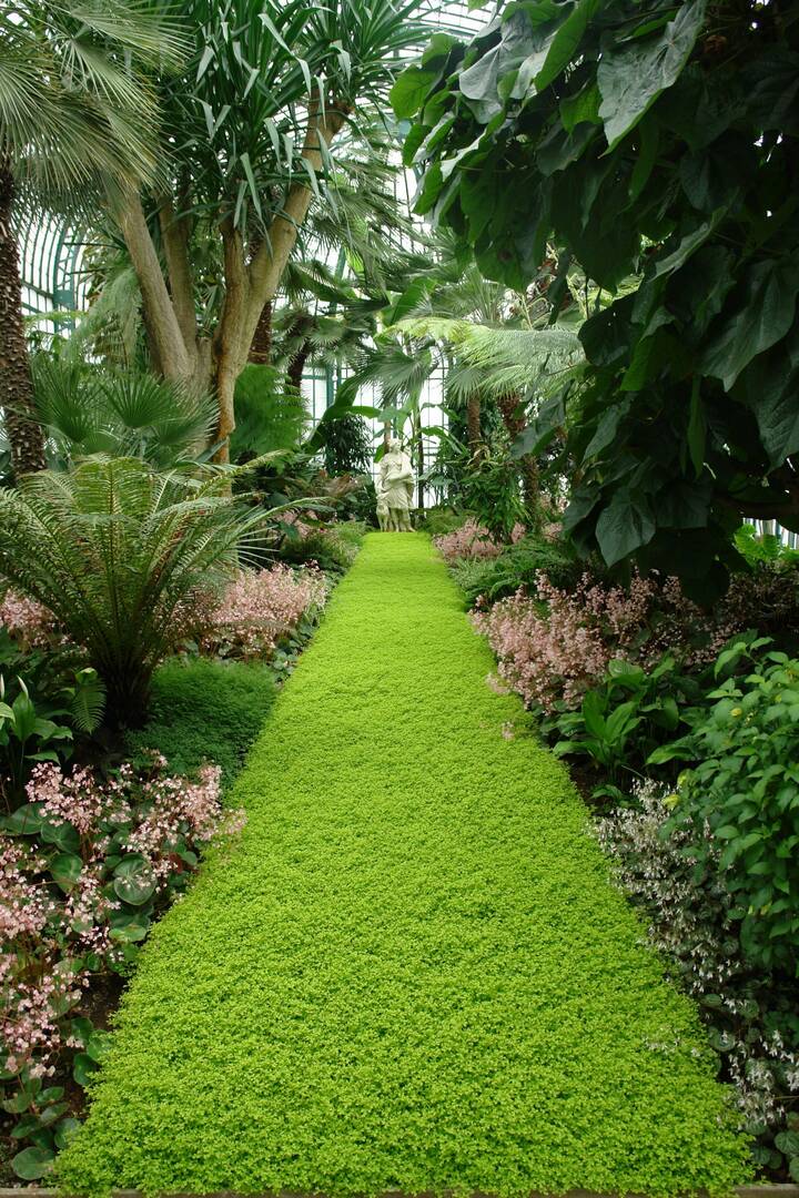 Hudson & Sons Tree Service