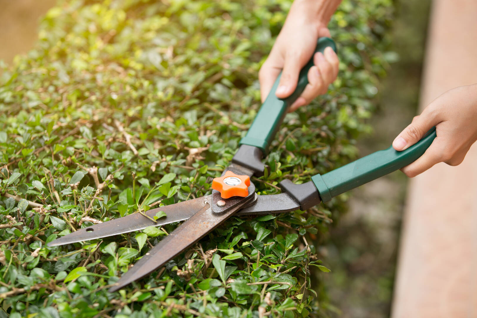 TOTAL MAINTENANCE PRO