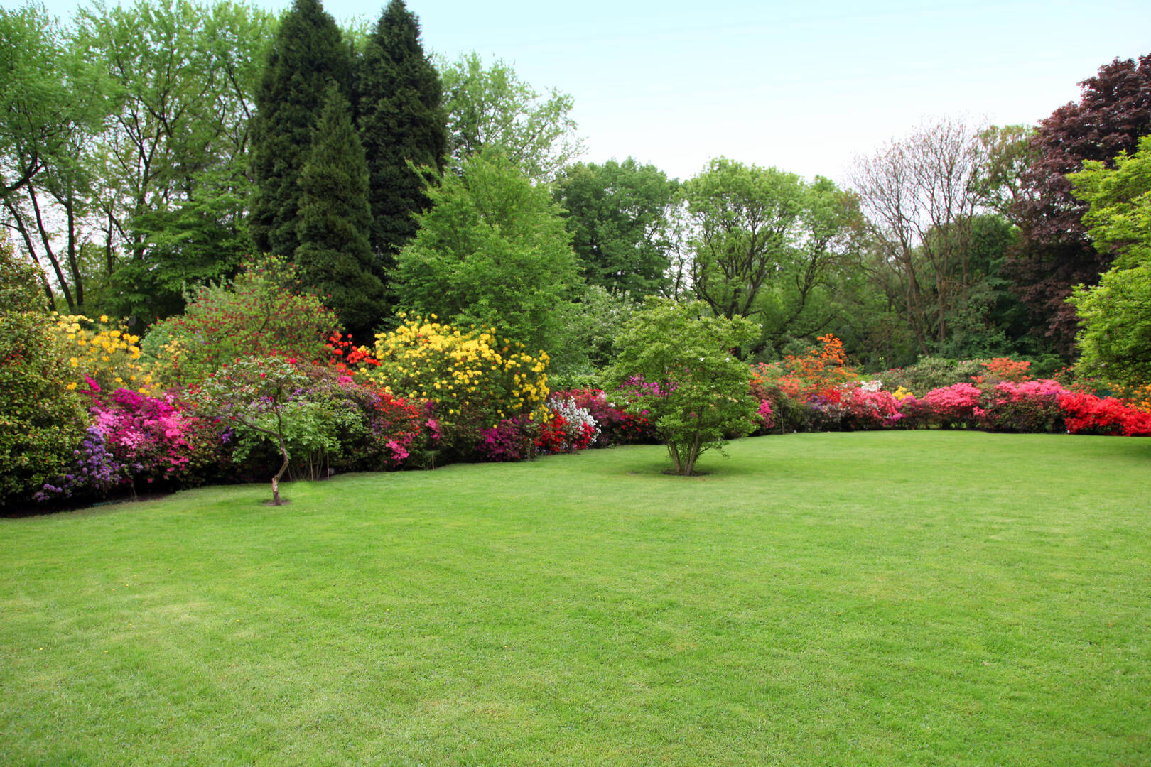 Diven Tree Services