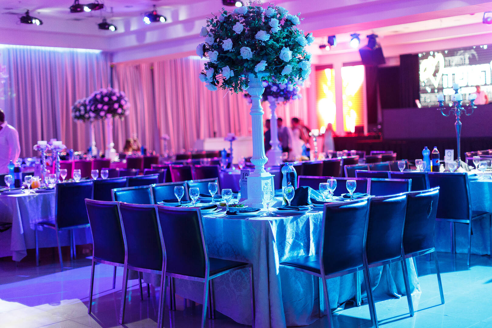 Ricki Lewis Events