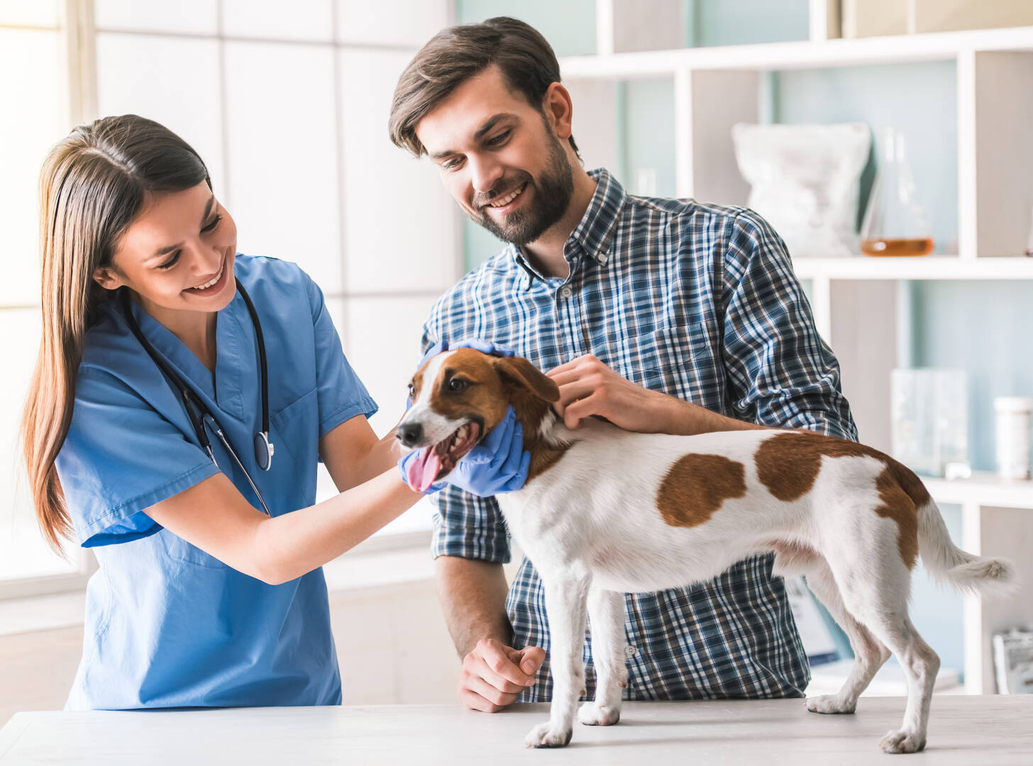 River West Animal Hospital