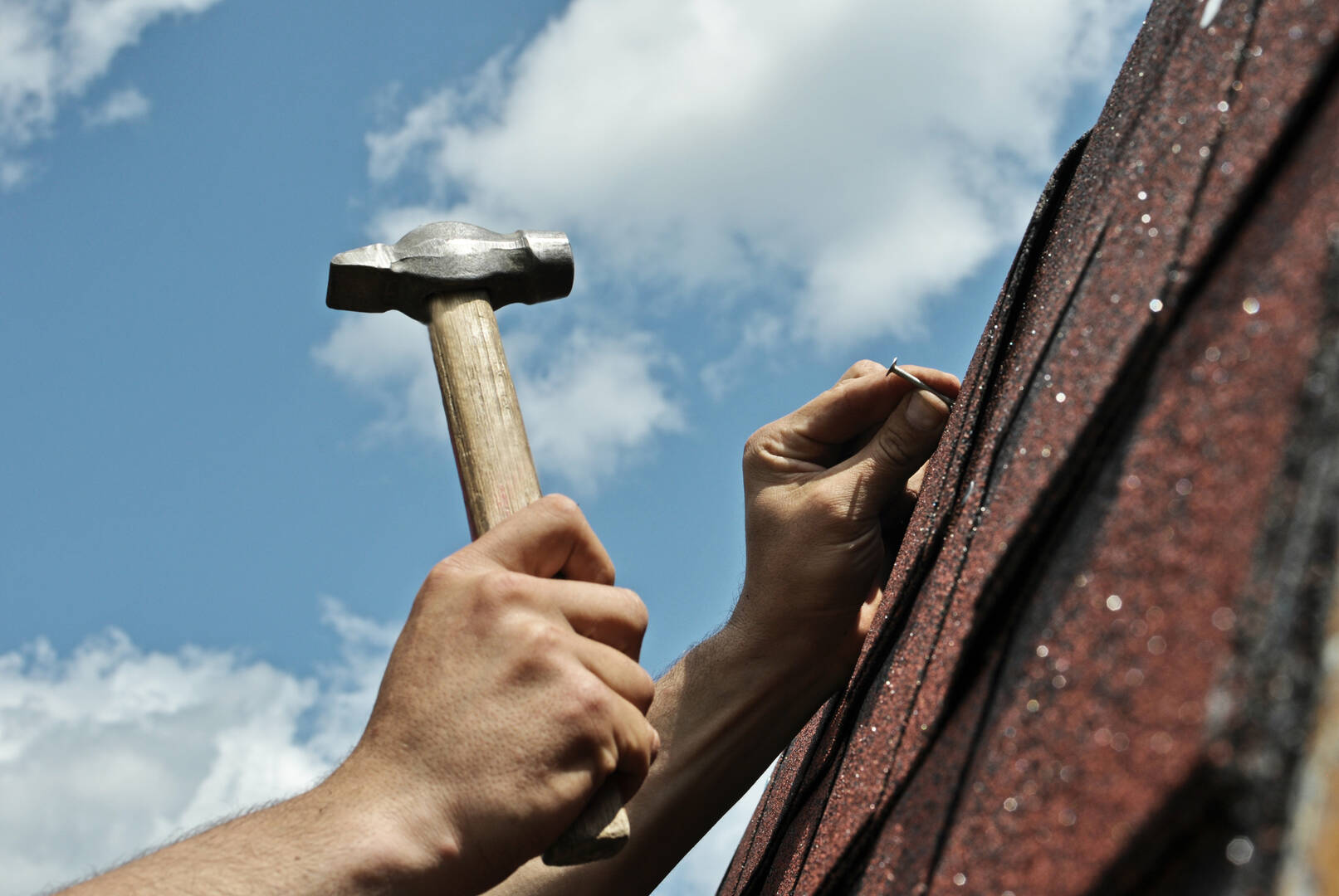Alpha Roofing Plus