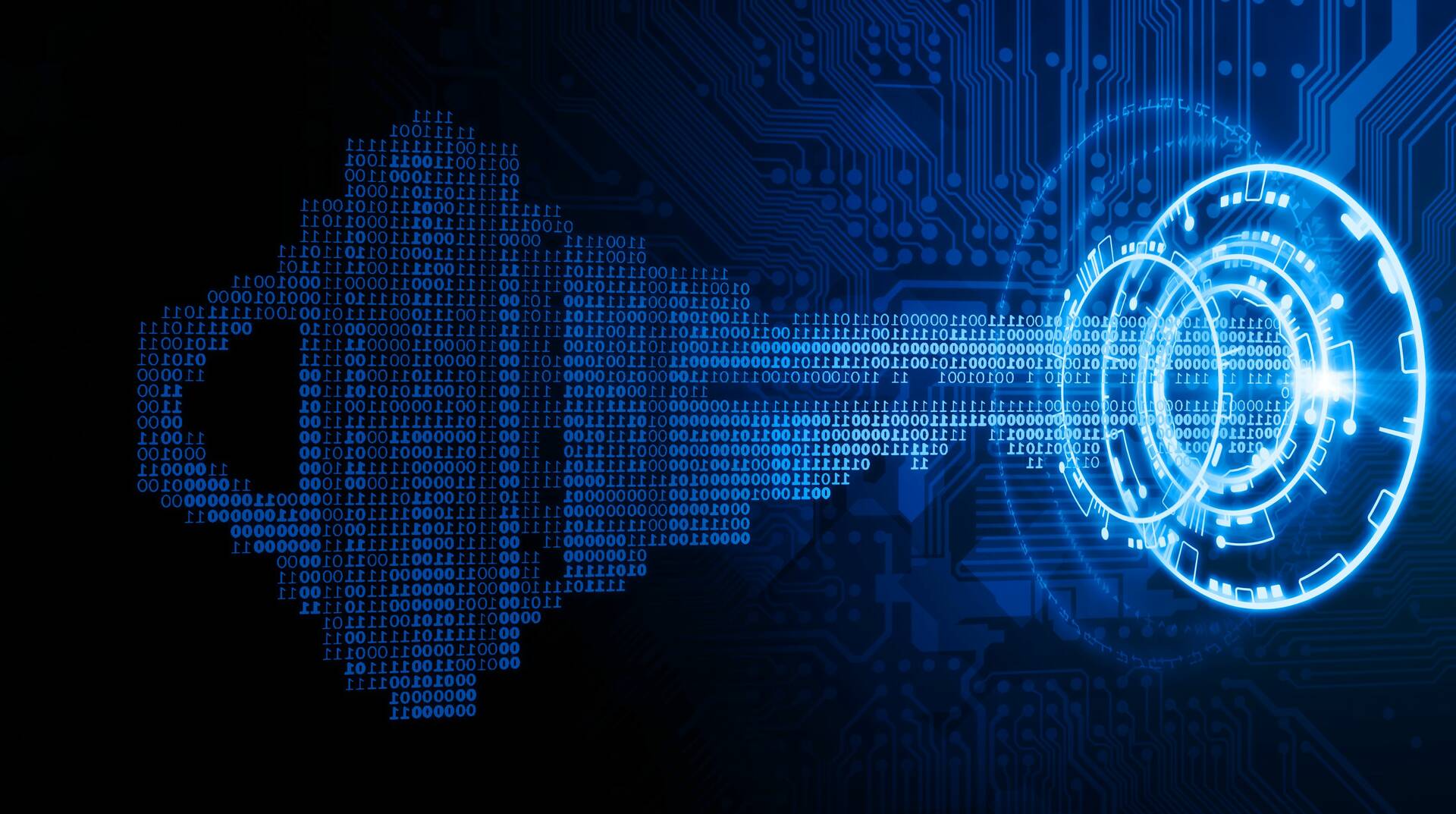 Lynx Security Company